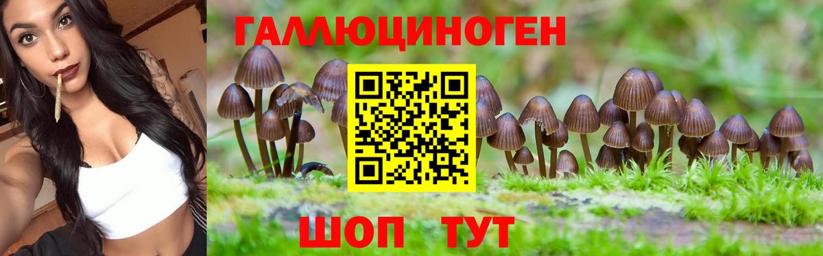 Губкин  Галлюциногенные грибы Psilocybine cubensis  Псилоцибиновые грибы ЛСД  Вход с VPN 